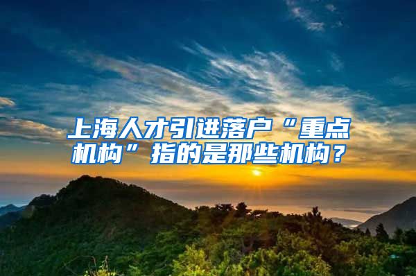 上海人才引进落户“重点机构”指的是那些机构？