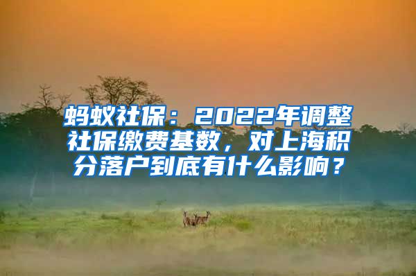 蚂蚁社保：2022年调整社保缴费基数，对上海积分落户到底有什么影响？