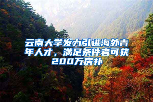 云南大学发力引进海外青年人才，满足条件者可获200万房补