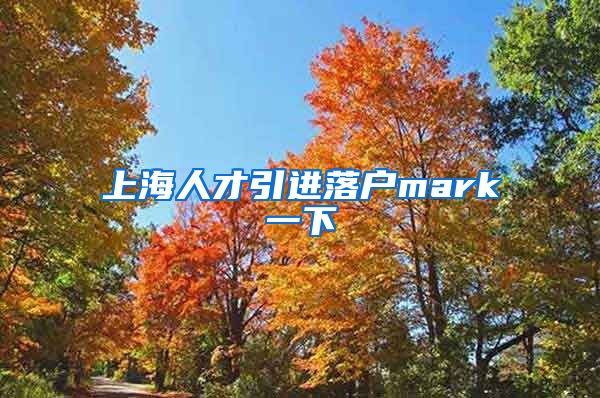 上海人才引进落户mark一下