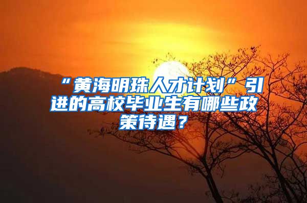 “黄海明珠人才计划”引进的高校毕业生有哪些政策待遇？