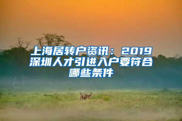 上海居转户资讯：2019深圳人才引进入户要符合哪些条件