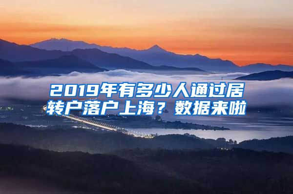 2019年有多少人通过居转户落户上海？数据来啦