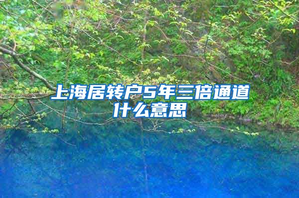 上海居转户5年三倍通道什么意思