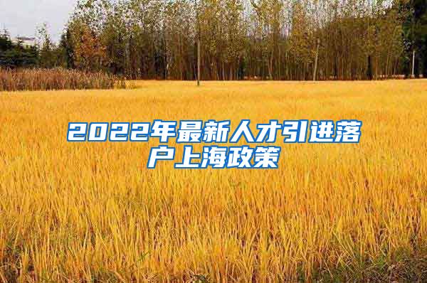 2022年最新人才引进落户上海政策