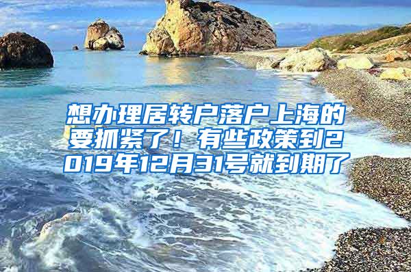 想办理居转户落户上海的要抓紧了！有些政策到2019年12月31号就到期了