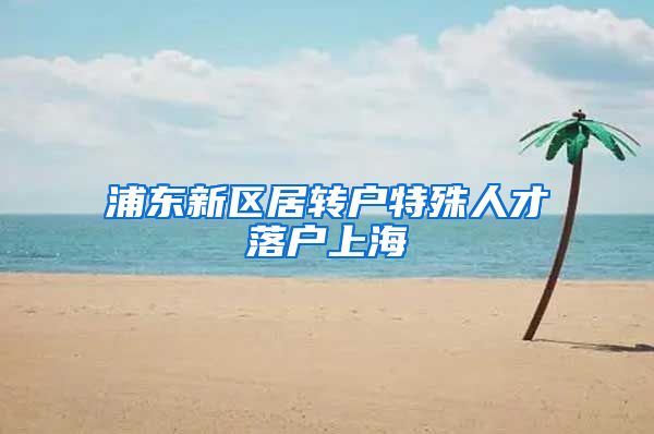 浦东新区居转户特殊人才落户上海