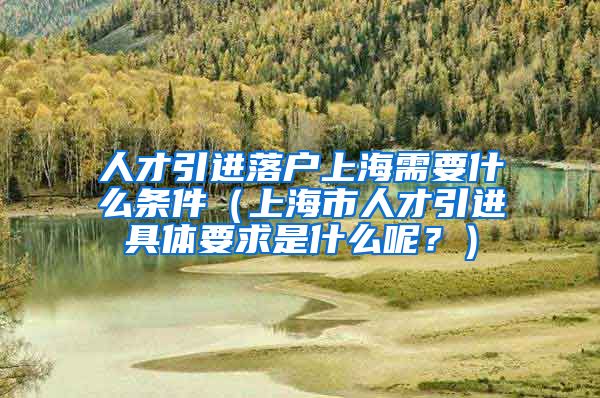 人才引进落户上海需要什么条件（上海市人才引进具体要求是什么呢？）