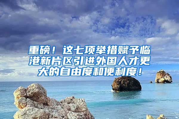 重磅！这七项举措赋予临港新片区引进外国人才更大的自由度和便利度！