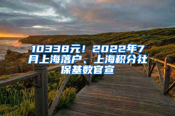 10338元！2022年7月上海落户、上海积分社保基数官宣