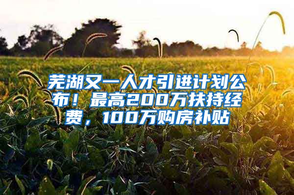 芜湖又一人才引进计划公布！最高200万扶持经费，100万购房补贴