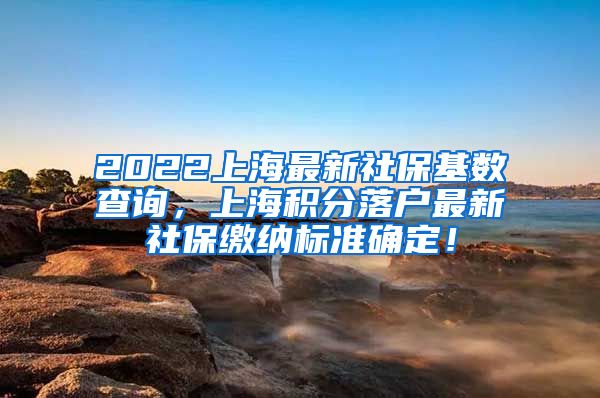 2022上海最新社保基数查询，上海积分落户最新社保缴纳标准确定！