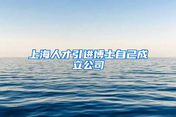 上海人才引进博士自己成立公司