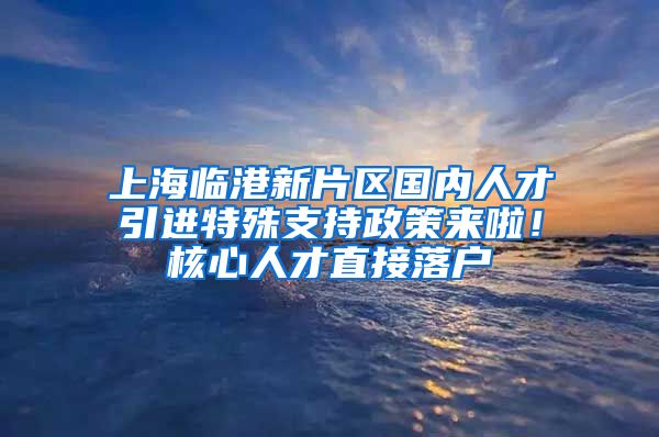 上海临港新片区国内人才引进特殊支持政策来啦！核心人才直接落户