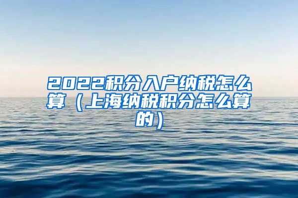 2022积分入户纳税怎么算（上海纳税积分怎么算的）