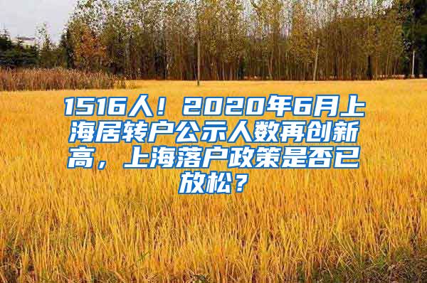 1516人！2020年6月上海居转户公示人数再创新高，上海落户政策是否已放松？