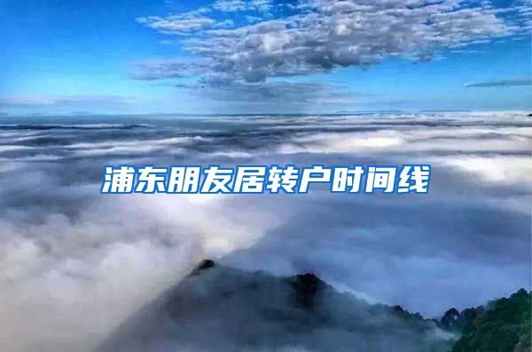 浦东朋友居转户时间线