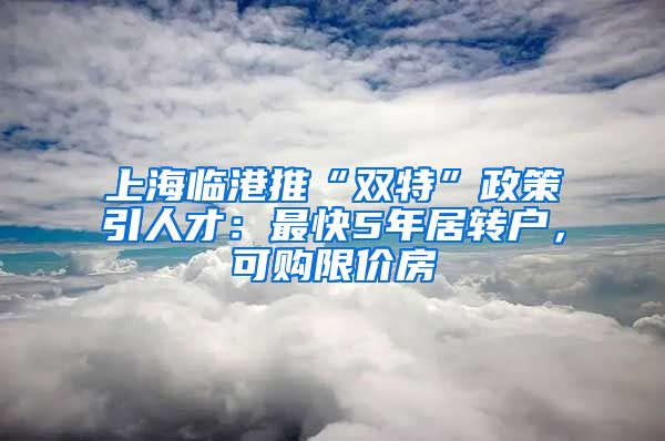 上海临港推“双特”政策引人才：最快5年居转户，可购限价房