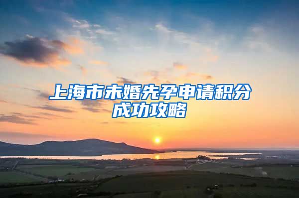 上海市未婚先孕申请积分成功攻略