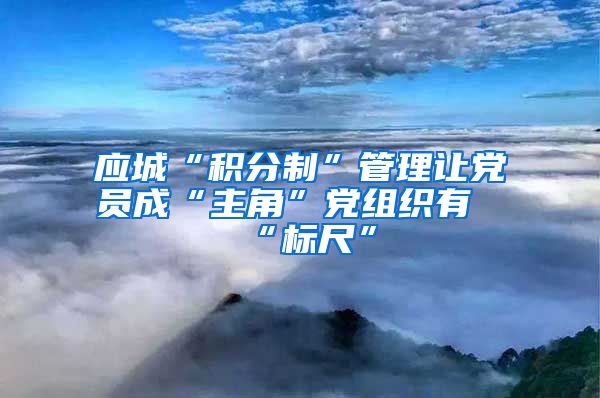 应城“积分制”管理让党员成“主角”党组织有“标尺”