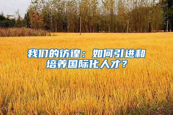 我们的彷徨：如何引进和培养国际化人才？