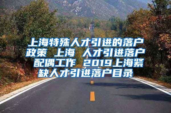 上海特殊人才引进的落户政策 上海 人才引进落户 配偶工作 2019上海紧缺人才引进落户目录