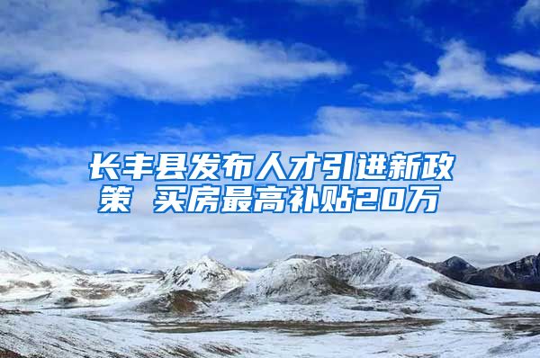 长丰县发布人才引进新政策 买房最高补贴20万