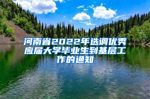 河南省2022年选调优秀应届大学毕业生到基层工作的通知