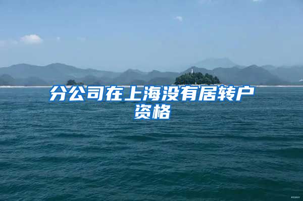 分公司在上海没有居转户资格