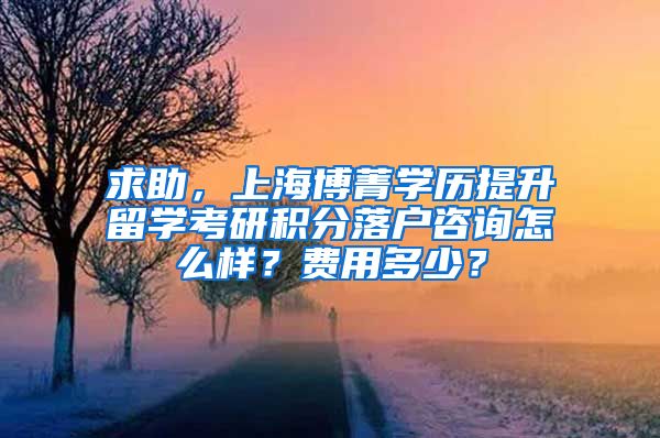 求助，上海博菁学历提升留学考研积分落户咨询怎么样？费用多少？