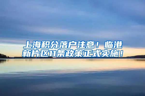 上海积分落户注意！临港新片区11条政策正式实施！