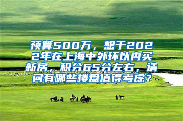 预算500万，想于2022年在上海中外环以内买新房，积分65分左右，请问有哪些楼盘值得考虑？