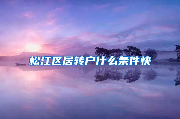 松江区居转户什么条件快