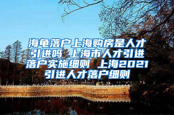 海龟落户上海购房是人才引进吗 上海市人才引进落户实施细则 上海2021引进人才落户细则