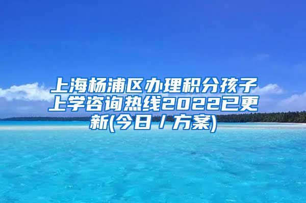 上海杨浦区办理积分孩子上学咨询热线2022已更新(今日／方案)