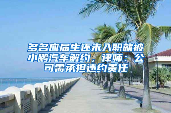 多名应届生还未入职就被小鹏汽车解约，律师：公司需承担违约责任