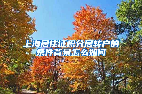 上海居住证积分居转户的条件背景怎么如何