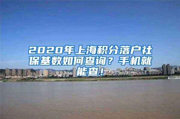 2020年上海积分落户社保基数如何查询？手机就能查！