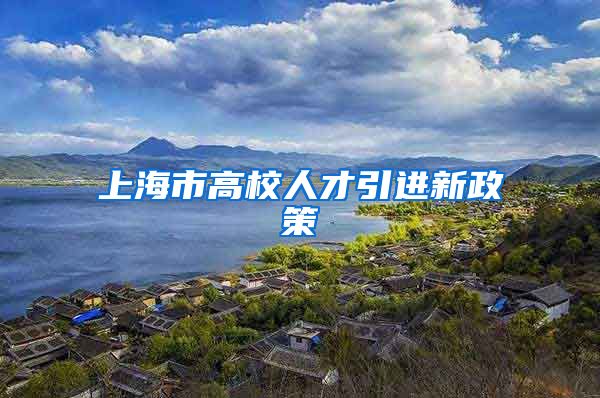 上海市高校人才引进新政策