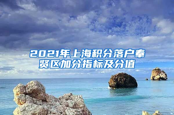 2021年上海积分落户奉贤区加分指标及分值