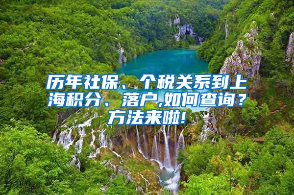 历年社保、个税关系到上海积分、落户,如何查询？方法来啦!