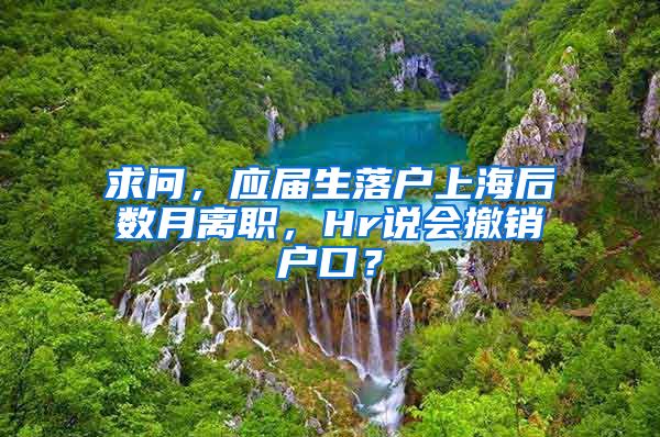 求问，应届生落户上海后数月离职，Hr说会撤销户口？