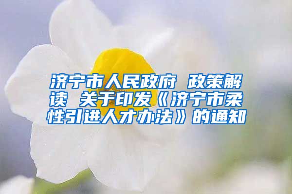 济宁市人民政府 政策解读 关于印发《济宁市柔性引进人才办法》的通知