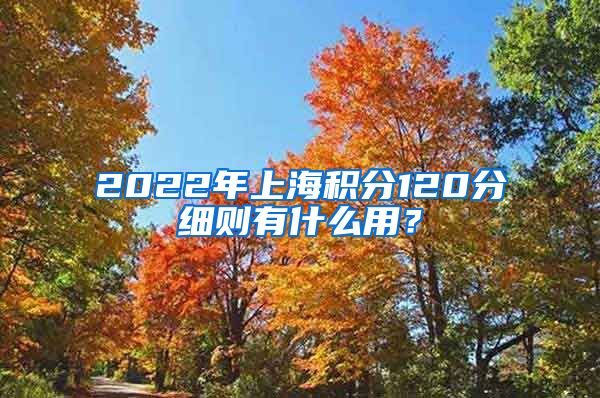 2022年上海积分120分细则有什么用？