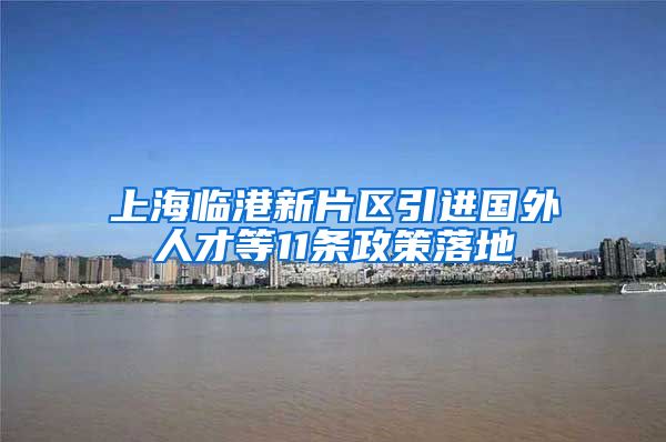 上海临港新片区引进国外人才等11条政策落地