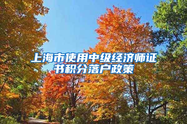 上海市使用中级经济师证书积分落户政策