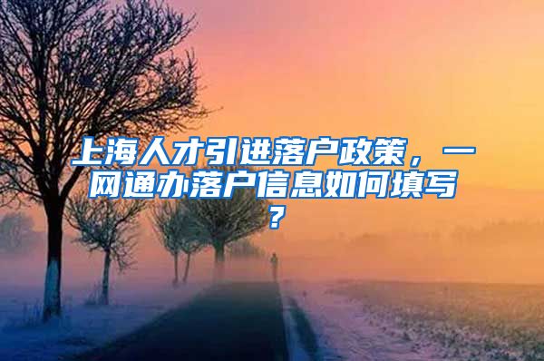 上海人才引进落户政策，一网通办落户信息如何填写？