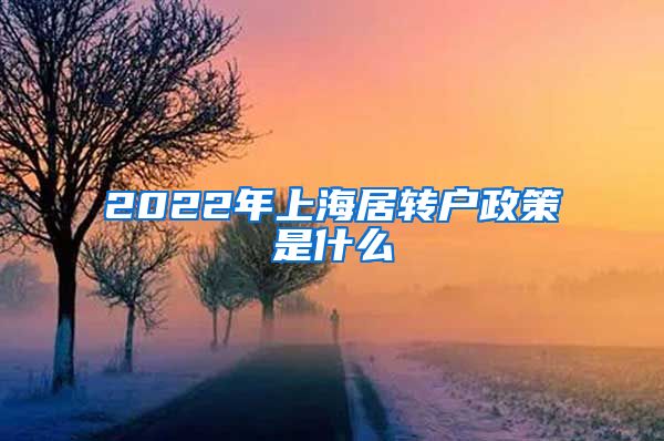 2022年上海居转户政策是什么