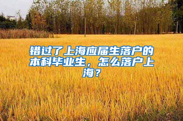 错过了上海应届生落户的本科毕业生，怎么落户上海？