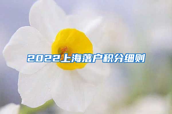 2022上海落户积分细则